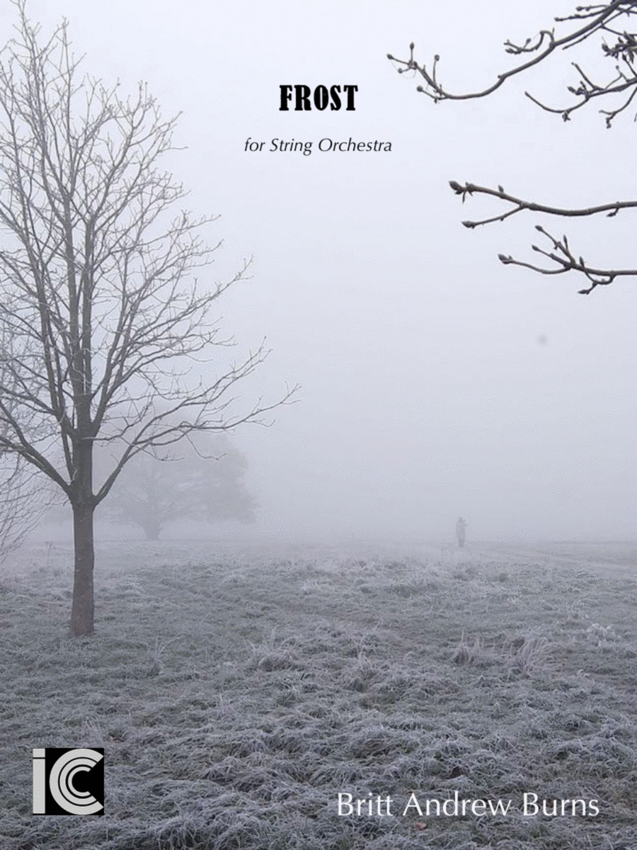 Forst - for String Orchestra String Orchestra scores gallery preview page 1