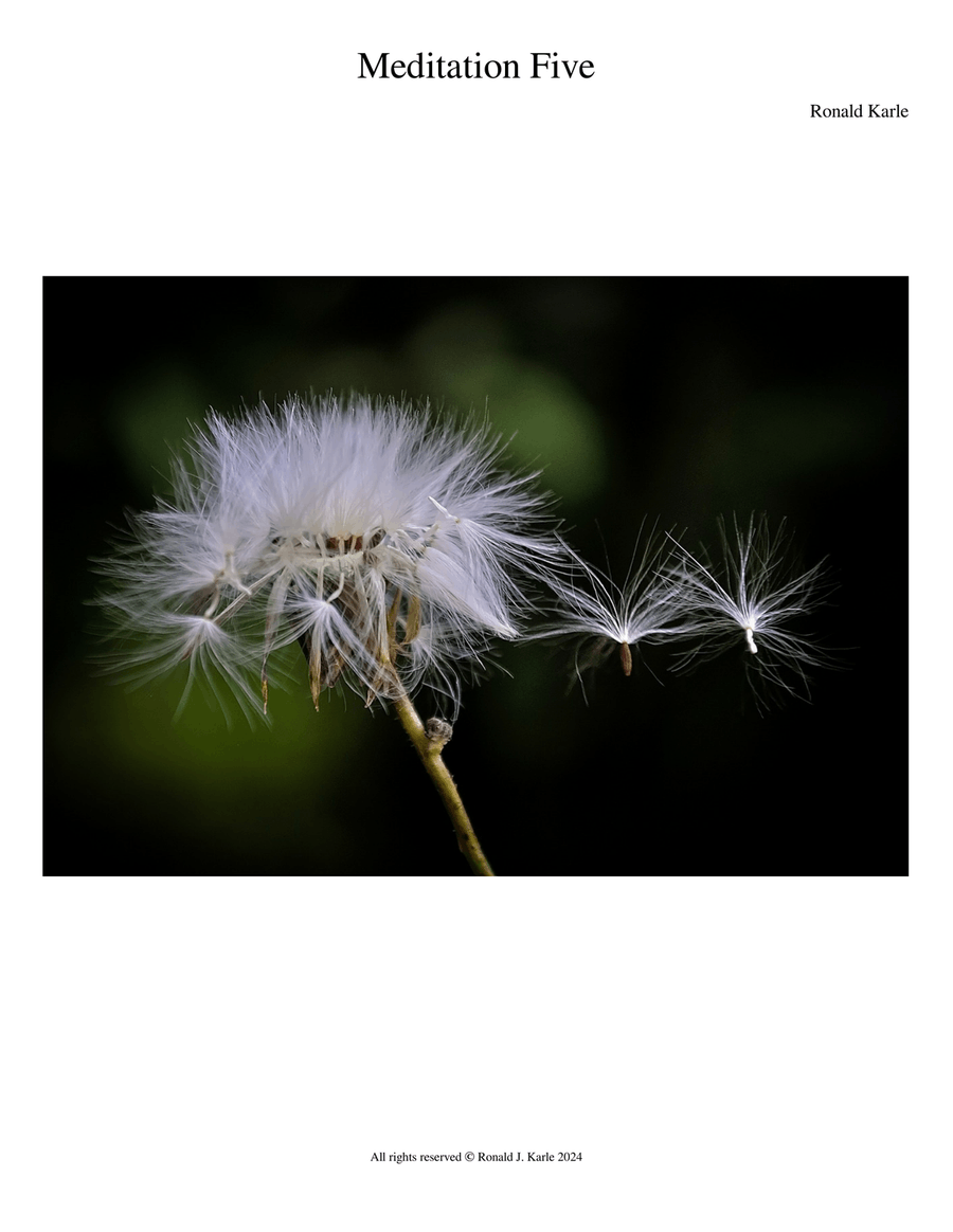 Meditation Five Piano Method scores gallery preview page 1
