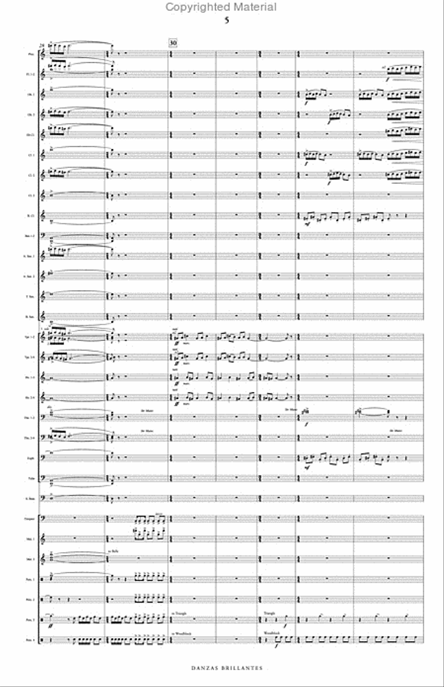 Danzas Brillantes Danzas Brillantes Concert Band scores gallery preview page 6