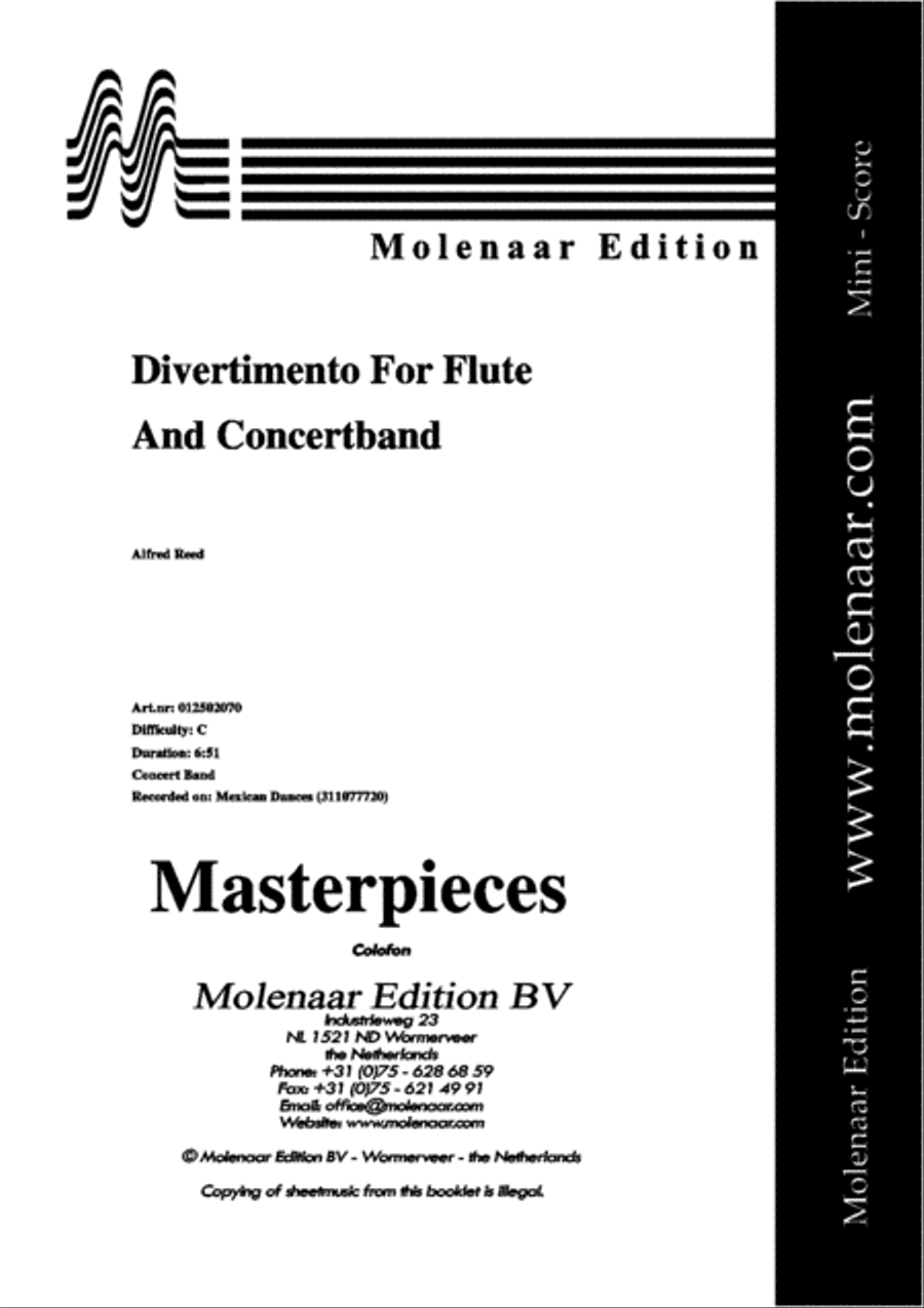 Divertimento for Flute Divertimento for Flute Concert Band scores gallery preview page 2