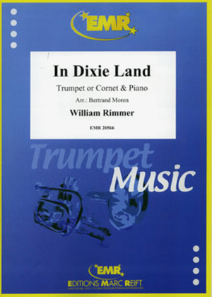 Book cover for In Dixie Land