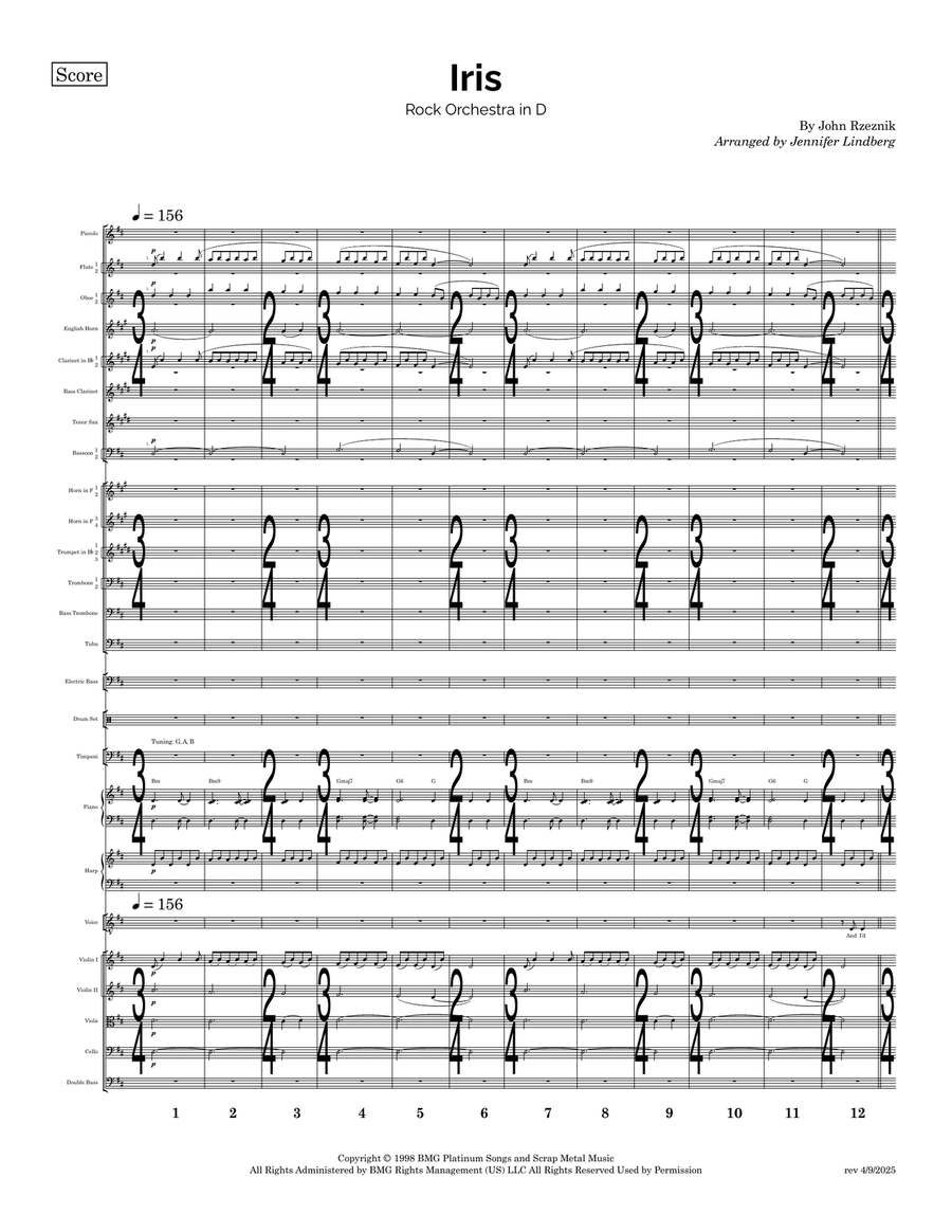 Iris Full Orchestra scores gallery preview page 1