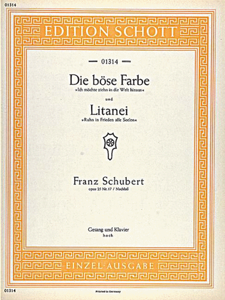 Book cover for Die böse Farbe / Litanei