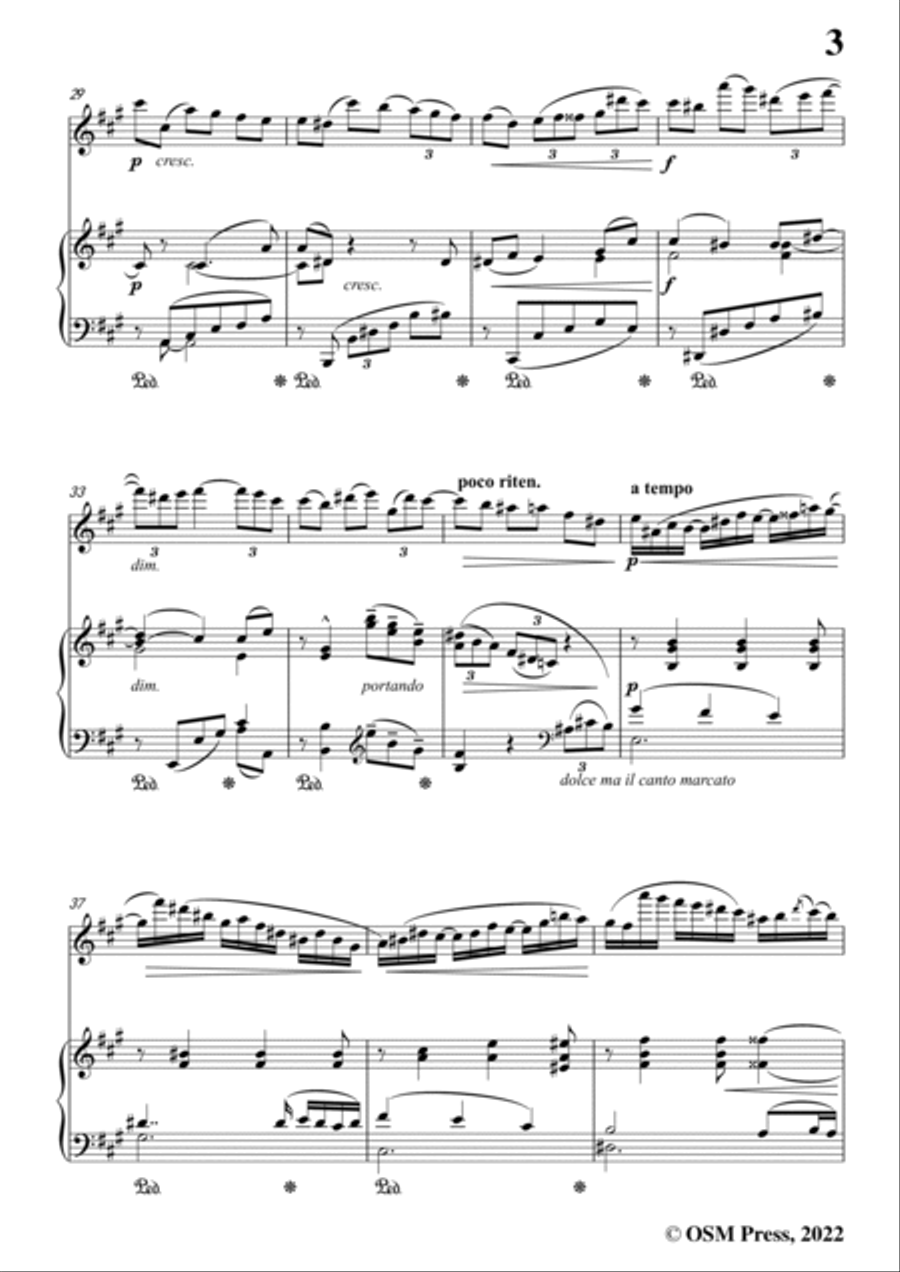 Wagner-In das Album der Fürstin Metternich(Romanze),WWV 94 Violin Solo scores gallery preview page 5