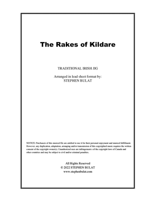 Book cover for The Rakes of Kildare (Irish Traditional) - Lead sheet in original key of Am