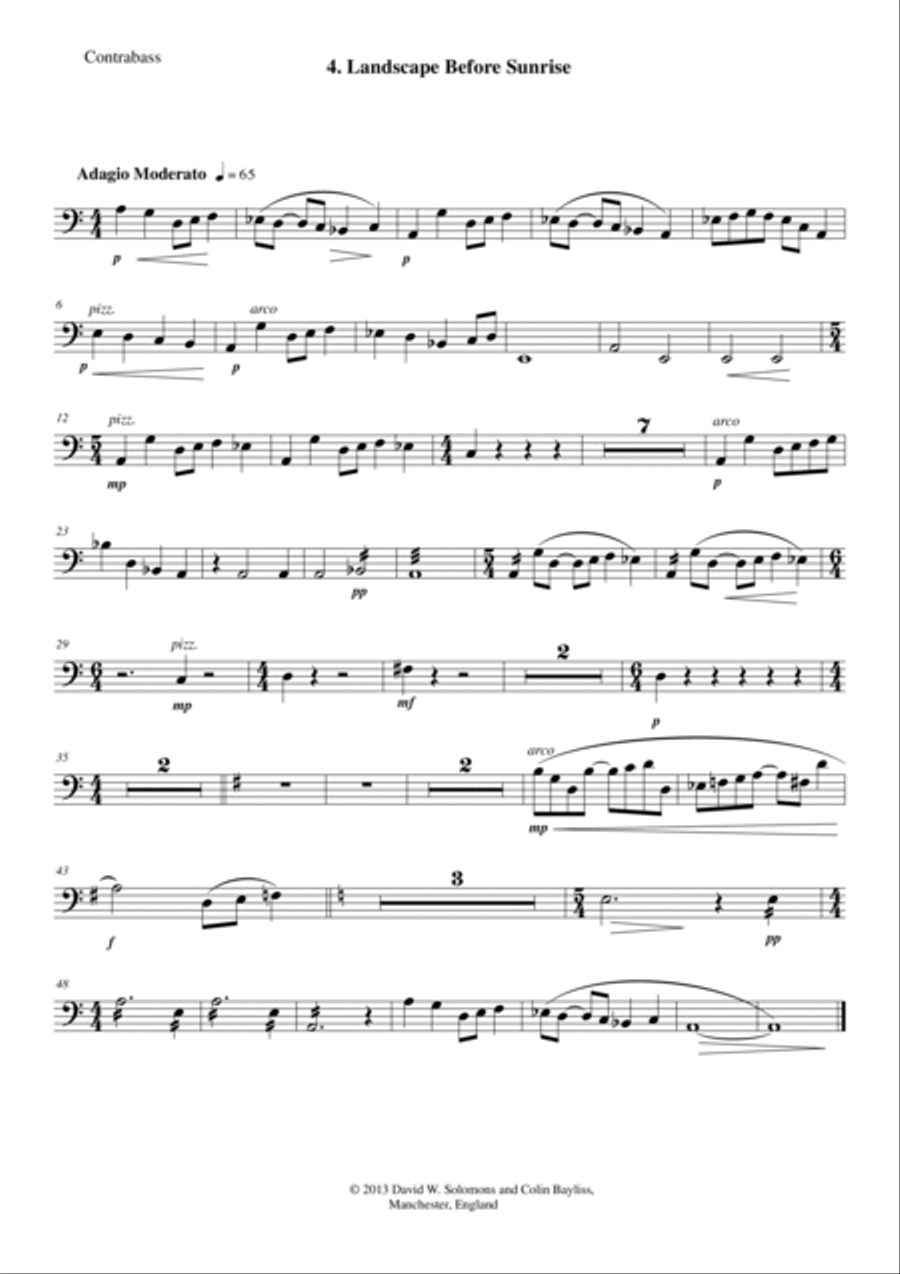 Landscape before sunrise for chamber orchestra Chamber Orchestra scores gallery preview page 6