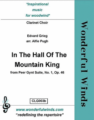 Book cover for In The Hall Of The Mountain King
