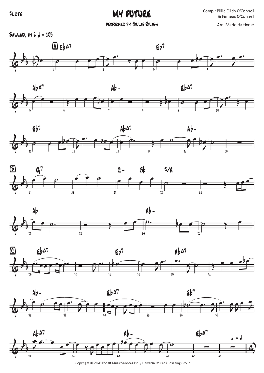 My Future Flute Solo scores gallery preview page 2