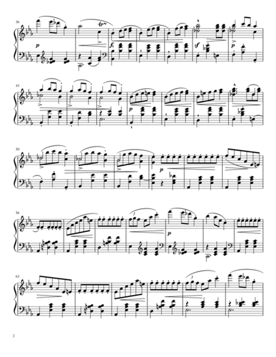 Waltz Op. 18, Nº 1 (The Grande Valse Brillante in E-Flat Major) image number null
