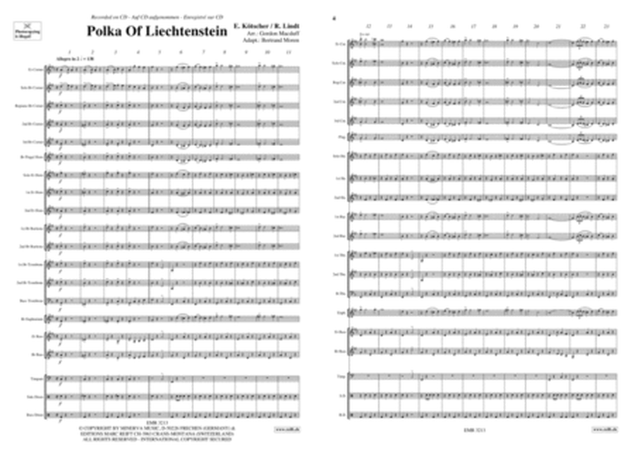 Polka Of Liechtenstein image number null