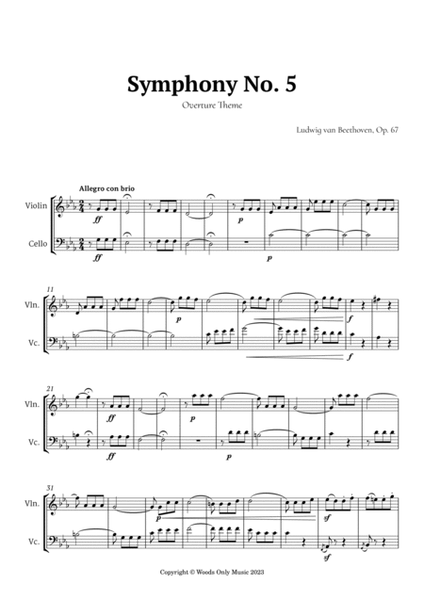 Symphony No. 5 by Beethoven for Violin and Cello image number null