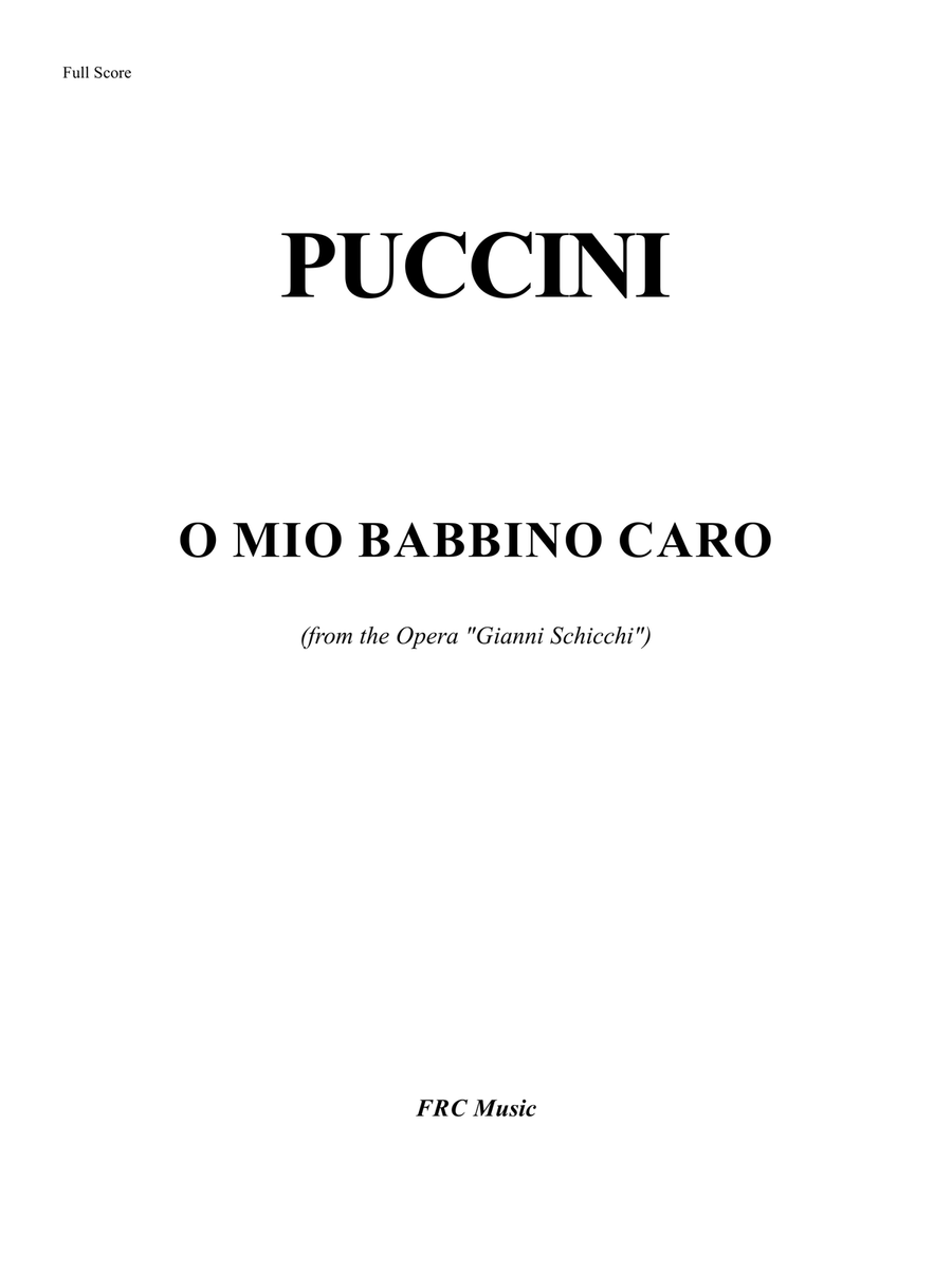 O Mio Babbino Caro - for Orchestra (from the Opera "Gianni Schicchi") image number null