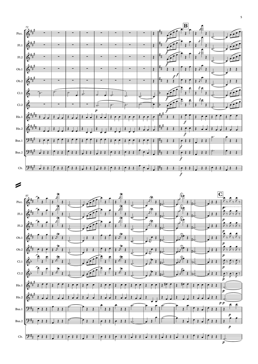 Waldteufel: Les Patineurs (The Skaters' Waltz)(original key) - symphonic wind Woodwind Quintet scores gallery preview page 5
