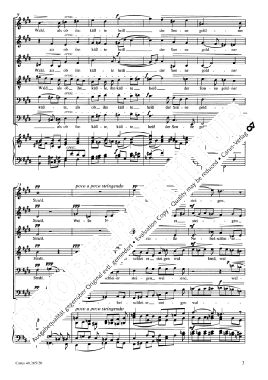 Evening song (Abendlied) Choir scores gallery preview page 4
