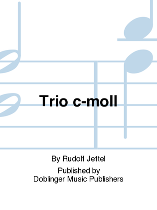 Book cover for Trio c-moll