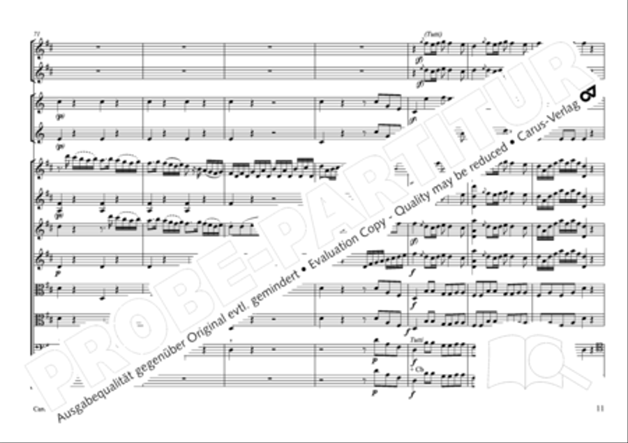 Concertone in D major Horn scores gallery preview page 12