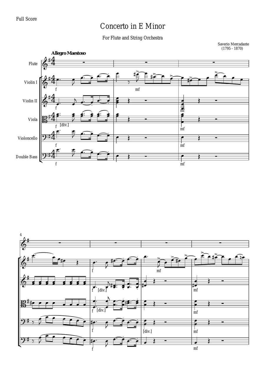 Mercadante - Concerto in Eminor for Flute and String Orchestra Chamber Orchestra scores gallery preview page 2