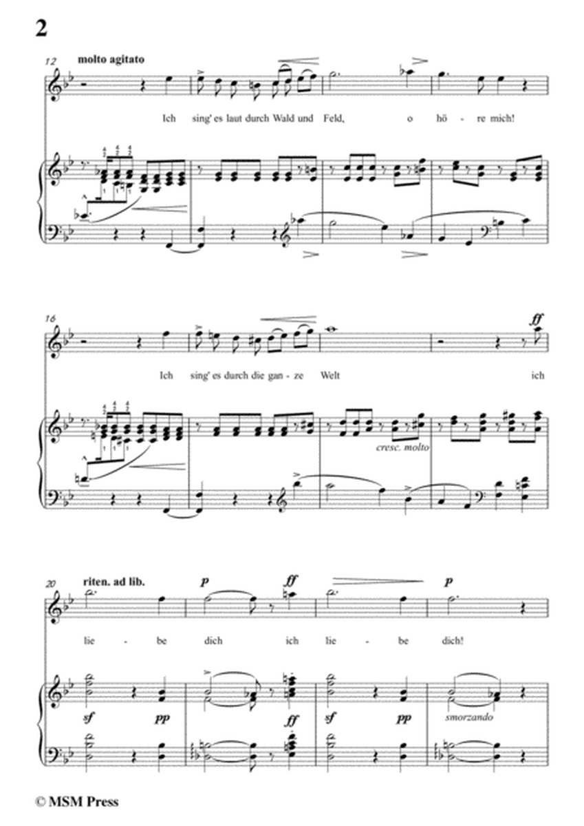 Liszt-In liebeslust in B flat Major,for Voice and Piano image number null