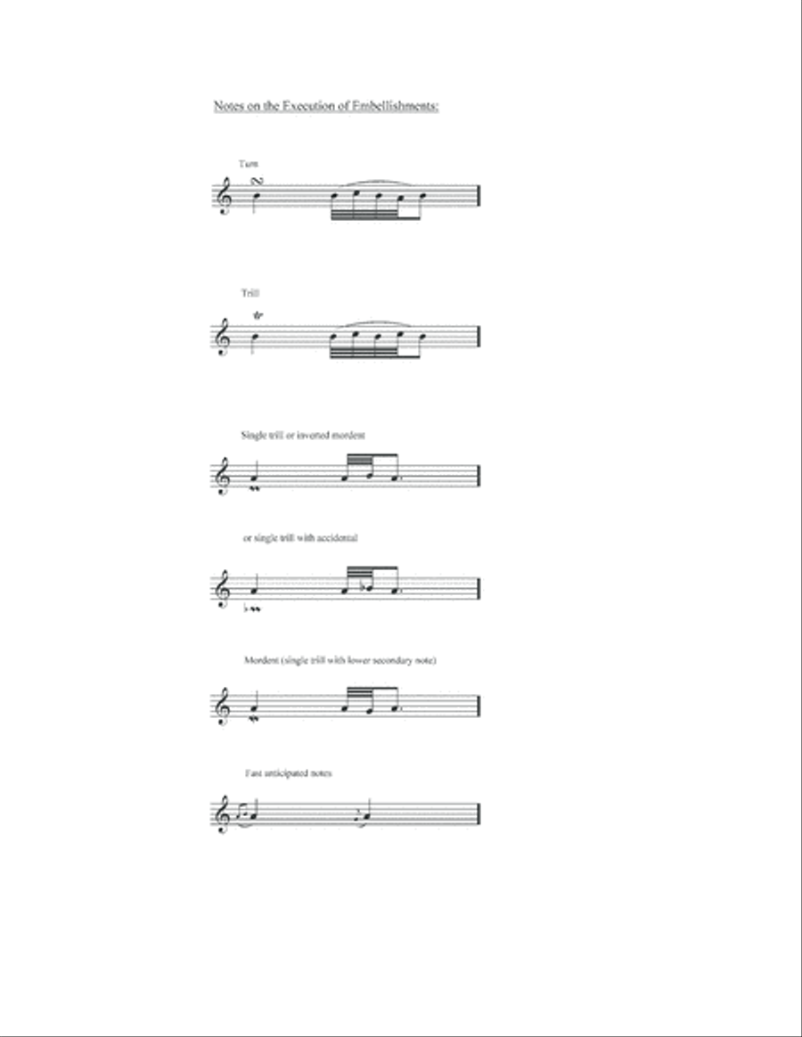 Guitar/Flute Duets on Celtic Favorites Flute scores gallery preview page 5