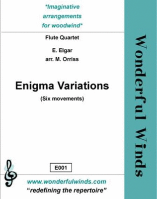 Book cover for Enigma Variations