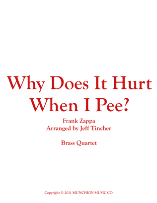 Why Does It Hurt When I Pee