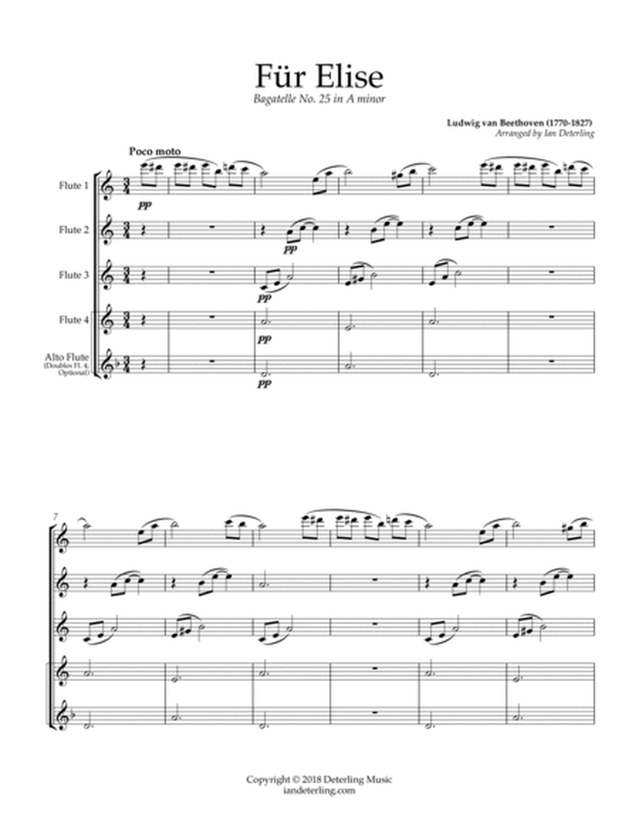 Für Elise (for Flute Quartet) image number null