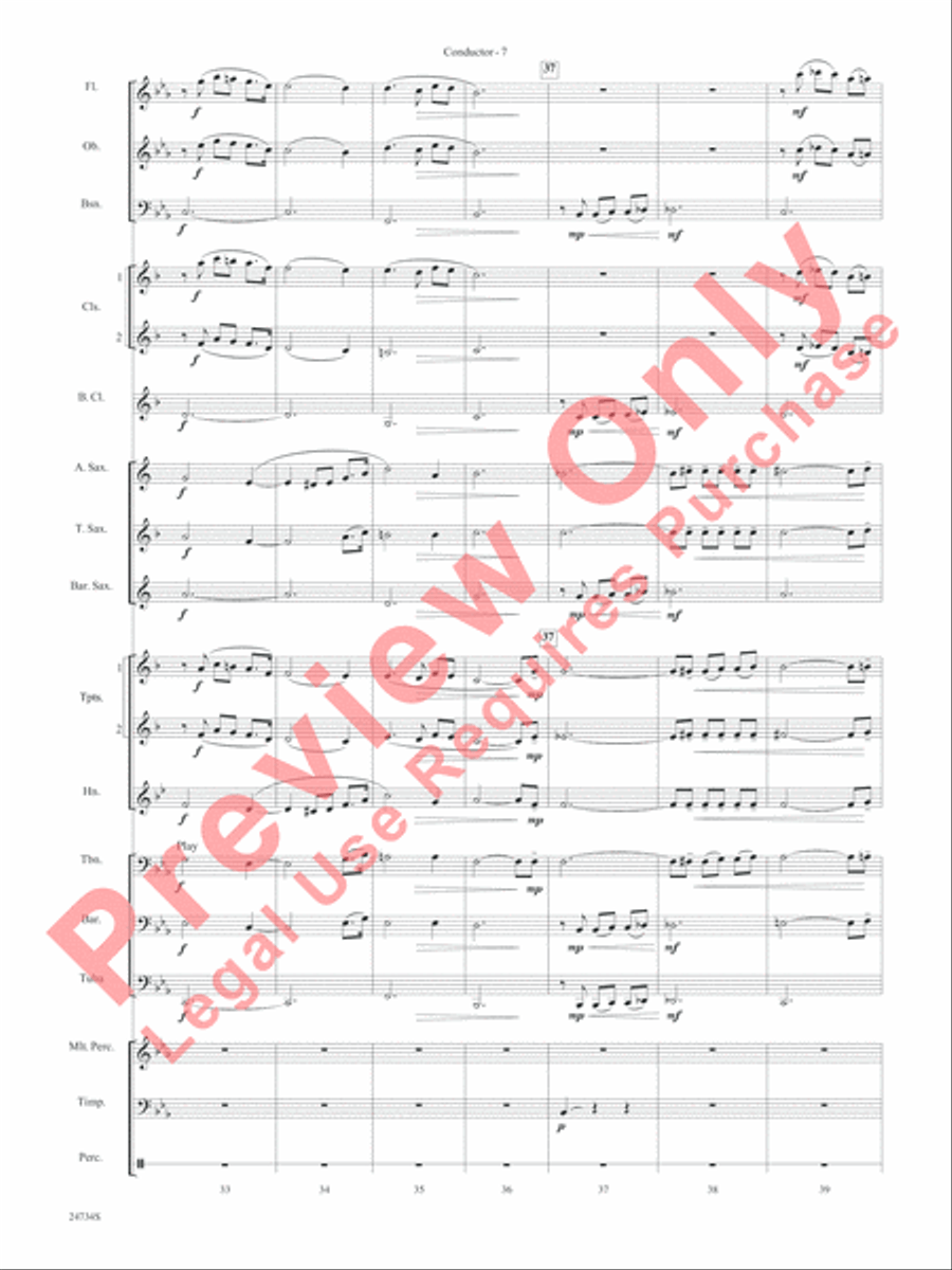 Nocturne (Opus 9, No. 2) Concert Band scores gallery preview page 10