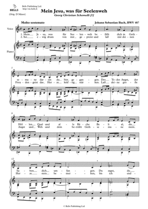 Mein Jesu, was fur Seelenweh, BWV 487 (A minor)
