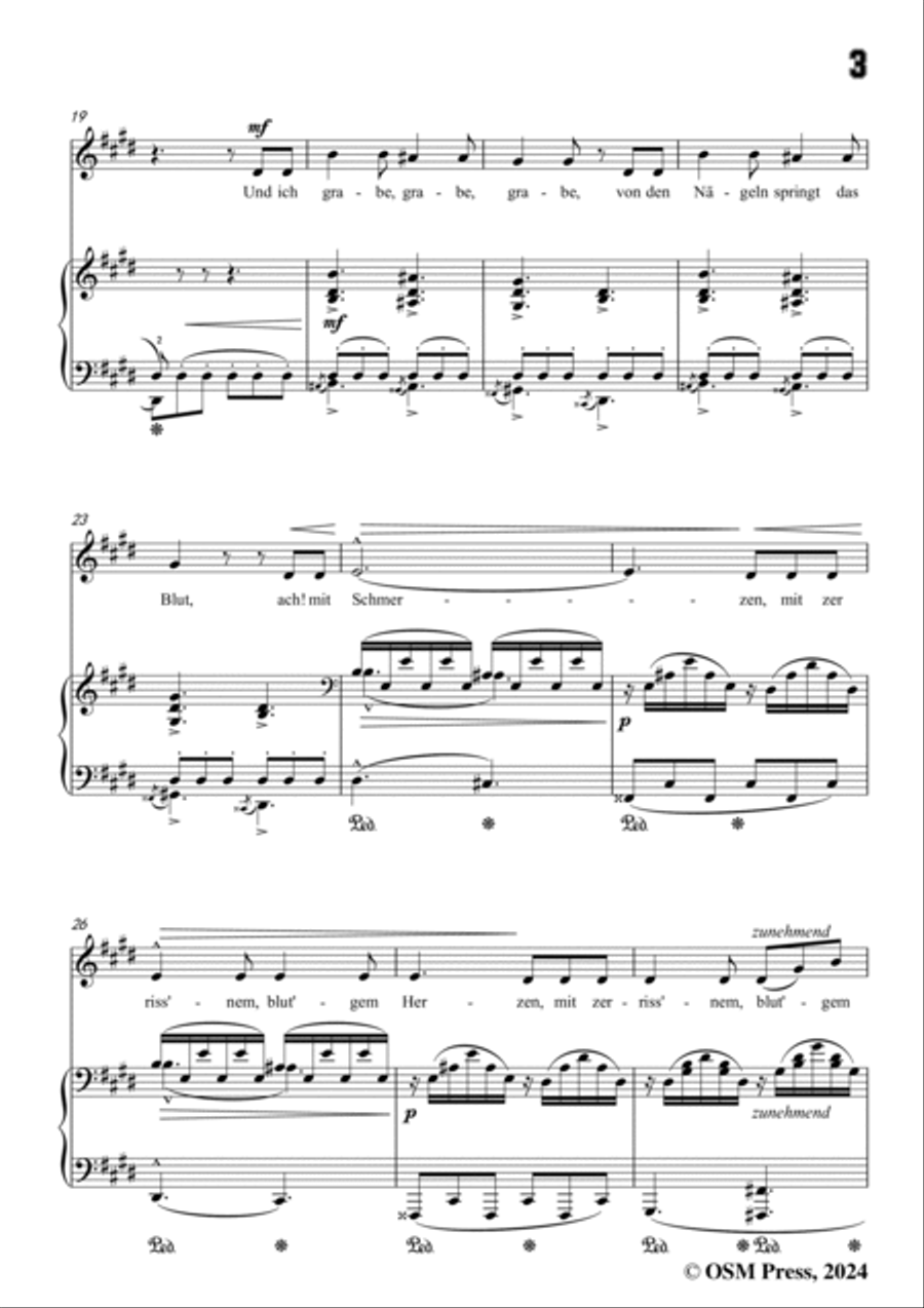 A. Jensen-Nicht der Tau und nicht der Regen,Op.30 No.3,in c sharp minor Voice scores gallery preview page 5