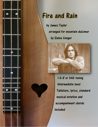 Book cover for Fire And Rain