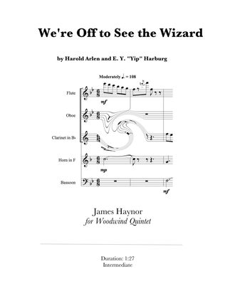 Book cover for We're Off To See The Wizard