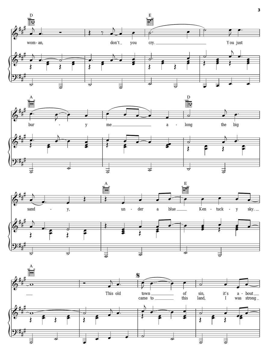 Bury Me Piano, Vocal, Guitar scores gallery preview page 3