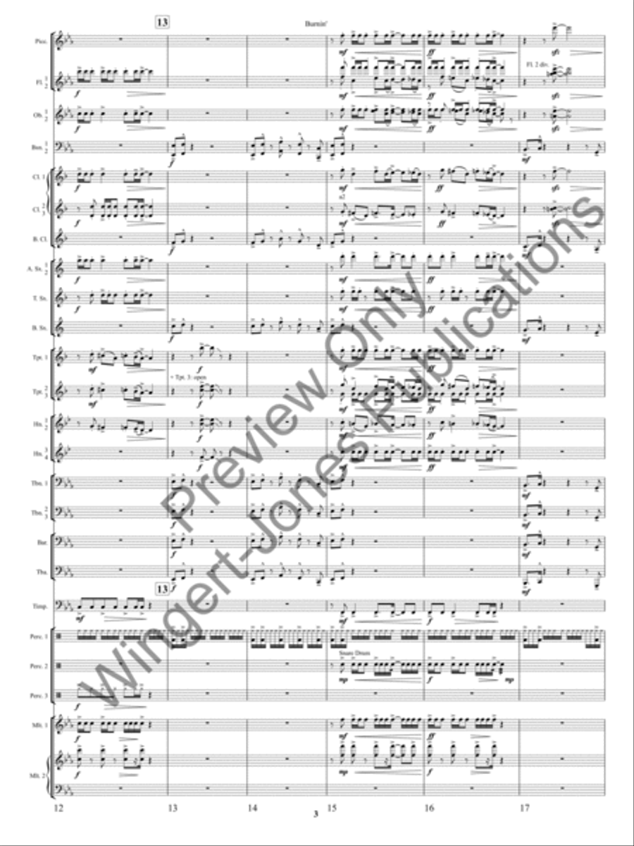 Burnin'! Burnin'! Concert Band scores gallery preview page 6
