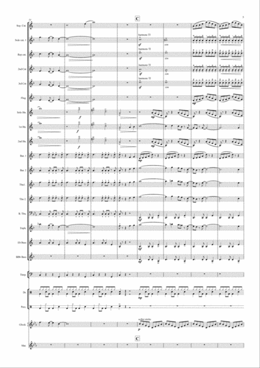 Aquarius Small Ensemble scores gallery preview page 5