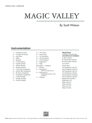 Magic Valley: Score