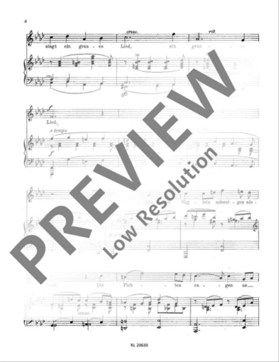 Drei Lieder Medium Voice scores gallery preview page 3