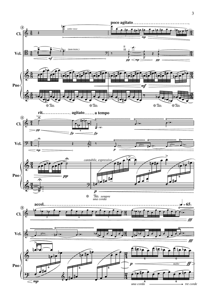 "Like a Whirling Sand Clock" - for Clarinet, Cello and Piano [Performance Score and Parts] image number null