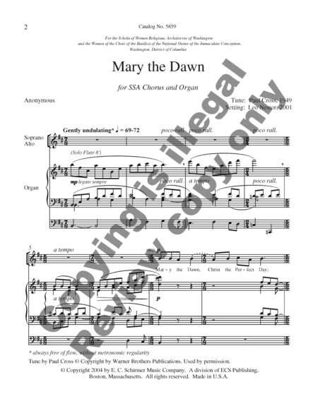 Mary the Dawn image number null