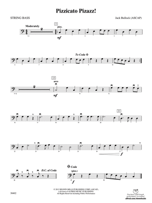 Pizzicato Pizazz!: String Bass