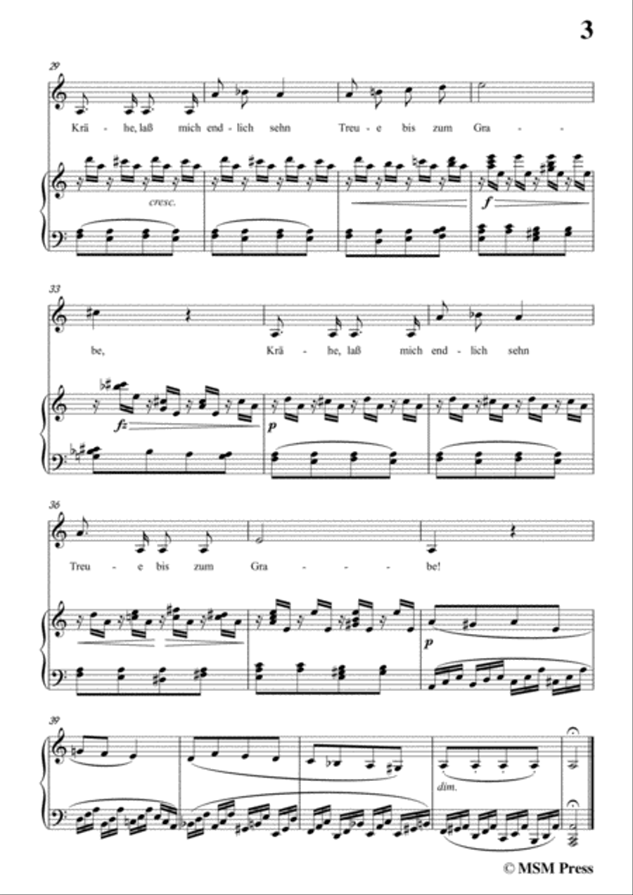 Schubert-Die Krähe,in a minor,Op.89 No.15,for Voice and Piano Voice Solo scores gallery preview page 5
