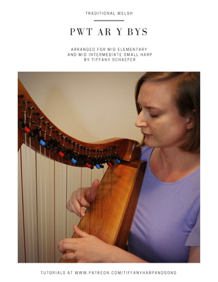 Book cover for Pwt Ar Y Bys - mid elementary and mid intermediate small harp