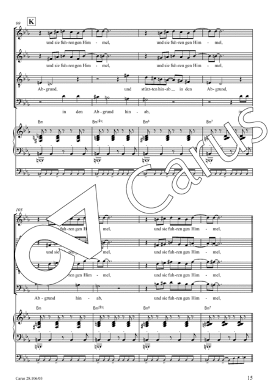 Die mit Schiffen auf dem Meer (Psalm 107) 4-Part scores gallery preview page 16