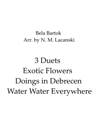 3 Duets Exotic Flowers Doings in Debrecen Water Water Everywhere