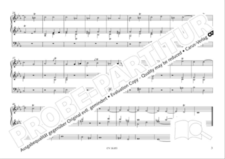 Das Husumer Orgelbuch von 1758 Organ Solo scores gallery preview page 4