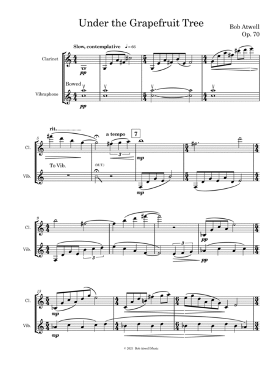 Under the Grapefruit Tree B-Flat Clarinet scores gallery preview page 3