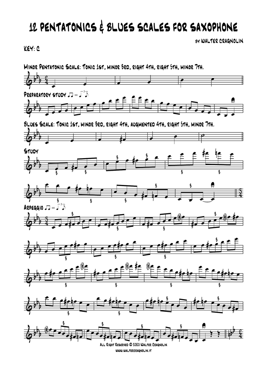 12 PENTATONICS & BLUES SCALE FOR SAXOPHONES Saxophone scores gallery preview page 3