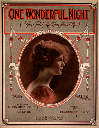 Book cover for One Wonderful Night (You Told Me You Loved Me)