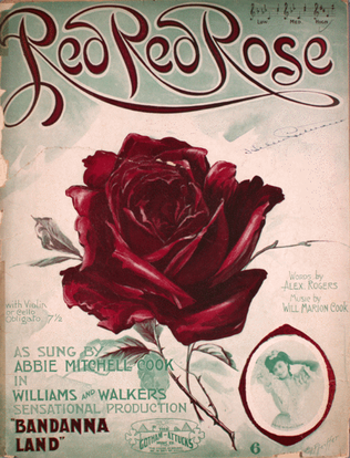 Book cover for Red Red Rose