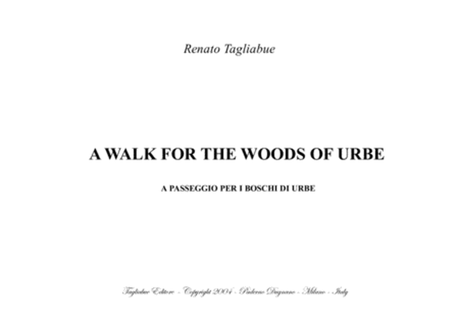 A WALK FOR THE WOODS OF URBE (A passeggio per i boschi di Urbe) - by R. Tagliabue - For Ob, Fl, Stri image number null