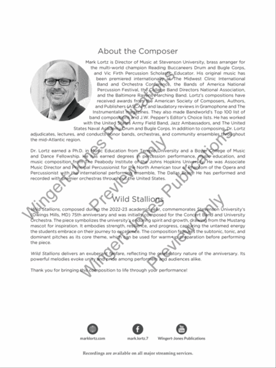 Wild Stallions String Orchestra scores gallery preview page 3